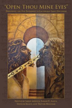 Old Testament: image of God communicating knowledge through the veil